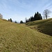 Hochmoor bei der Alp Ell