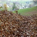 Knöcheltief laubrascheln