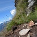 "Manchmal frage ich mich, <br />was aus den Leuten geworden ist,<br />die mich mal nach dem Weg gefragt haben?"