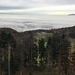 Le Sundgau sous le brouillard