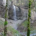 Lochbach Wasserfall eingerahmt von Moosbäumen