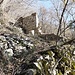 Sulla mulattiera Pigra - Corniga - Alpe Colonno.
