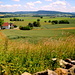 Blick von Klein Süntel zum Nesselberg