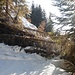 Etliche umgestürzte Bäume machen mir unterwegs auf dem schneebedeckten Fahrweg zu schaffen.