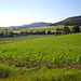 Oberhalb Bensen , Wesergebirge