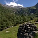 Alpigia