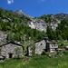 Alpigia