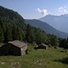 Alpigia