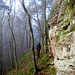 Bei einer Abzweigung an einem markanten Felsen wechselten wir auf die Südseite des Hochsteins, und folgten einem schmalen, ausgesetzen und unmarkierten Pfad...