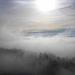 Herbst im Pfälzerwald.