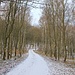Der Winter klopft an: Schneebedeckter Waldweg