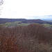 Blick vom nördlichen Eck des Riedlenberges auf den Farrenberg und in der Bildmitte den Dreifürstenstein