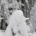 eine schöne Schneeskulptur