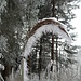 Frostkunst auch im Wald 1 ...