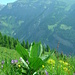 Blick zum Mont Gond