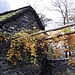Töppia.