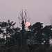 Sonnenuntergang