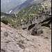 dort geht es "schnell" zum Ammerwald hinab