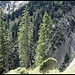 Der wild zerfurchte Schellgraben lauert hinter der Idylle!