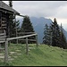 Schellalm