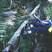 Von Holzfällern gebaute Leiter über eine Felsstufe im Waldzustieg