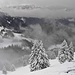 Wieder am Abstieg, die Wolken reißen zunächst mal auf.