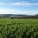 Beim Start ein Blick nach Westen ins Ortenburger Land, man könnte meinen es wäre Frühjahr bzw. Sommer, so frisch ist das Grün.