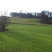 Beim Anstieg nach Jägerwirth ist mir ein neuer Feldweg aufgefallen, der jedoch im abgeholzten Wald endet. Den alten Kirchenweg nach Jägerwirth habe ich nicht gefunden, dieser müsste sich aber in dem Waldstück befinden. In Voglarn gibt es nämlich keine Kirche und führer wurde zu Fuß in die Kirchen nach Jägerwirth gegangen.