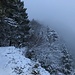 ... zur Schlüsselstelle; das Balmfluechöpfli (vor uns) im Nebel kaum auszumachen