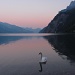 Morgenidylle am Walensee