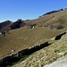 Alpe Nadigh : panoramica