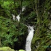 viel Wasser