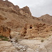 Wadi David: Dry Canyon