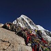 auf dem Gipfel des Kala Pattar mit Blick zum Pumori