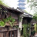 Mit Efeu bewachsene Holzhäuser in Wuzhen. Im Hintergrund die Pagode.