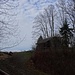 Ab hier geht's nun steil den Wald hinauf.