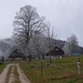 Bei der Waldweid.