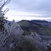 Blick vom Chellenchöpfli gegen den Hauberg.