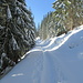 Skitourer und Schneeschuhgänger teilen sich die Spur