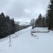 unsere "bäumige" Wanderung ...
