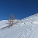eccola li