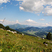 Kitzbüheler Horn
