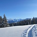 Panoramablick in die Silvretta