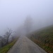 Bei der Höhenklinik Allerheiligenberg sind wir in den Nebel eingetaucht. Dieser sollte von nun an unser engster Begleiter sein. Angekündigt war durchweg Sonneneschein.