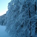 Winterlich