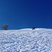 discesa dalla pala su neve incredibilmente polverosa! Solo qualche placca ventata disturba di tanto in tanto la sciata