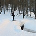 ponte di neve!
