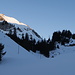Fochsenflue (sonnig) und Ritzlialp (schattig). 