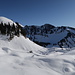 Fochsen vor Chällihorn. 