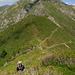 Lena im Aufstieg zur Cima della Trosa im Kampf durch Alpenrosen - hinten der Madone, von welchem wir zuvor abgestiegen sind.